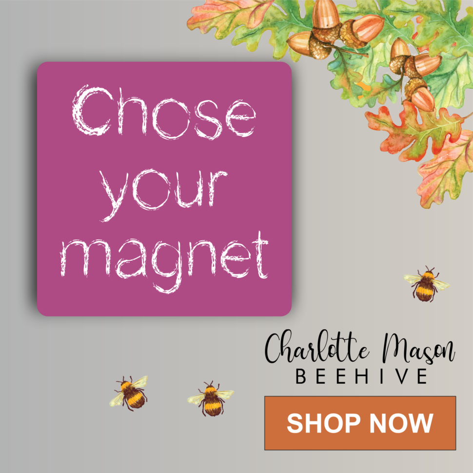 Timetable Magnets Choose Your Own Charlotte Mason Beehive International timetable-magnets-choose-your-own-charlotte-mason-beehive-international