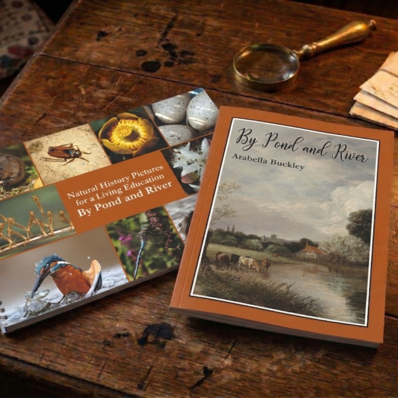 By Pond and River Bundle