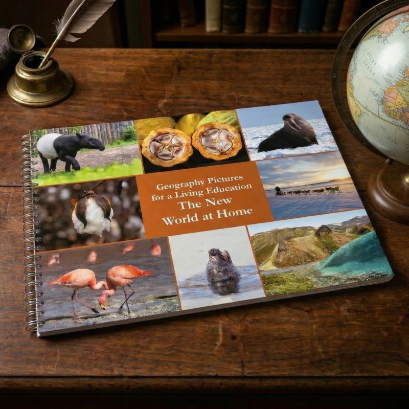 The New World at Home (Geography Pictures for a Living Education)