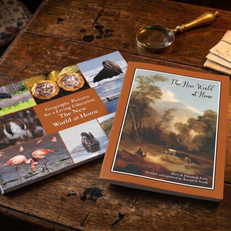 The New World at Home Bundle