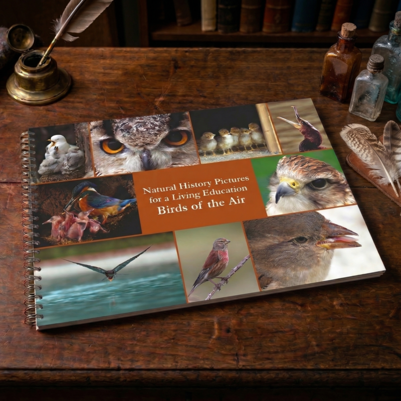 Birds of the Air (Natural History Pictures for a Living Education)