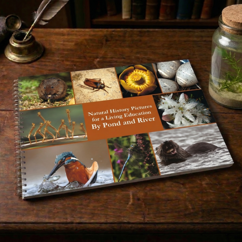 By Pond and River (Natural History Pictures for a Living Education)