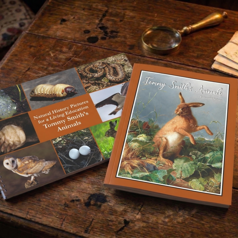 Tommy Smith's Animals Bundle