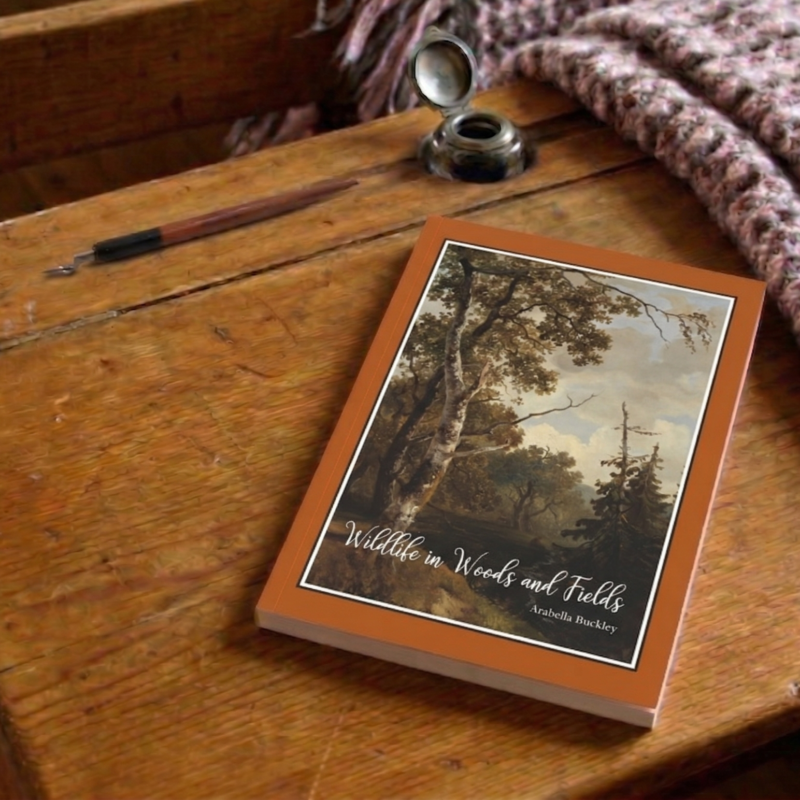 Wildlife in Woods and Fields